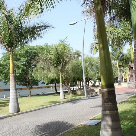 Apartment Comfortable Flat In Isabel Arona (Tenerife)