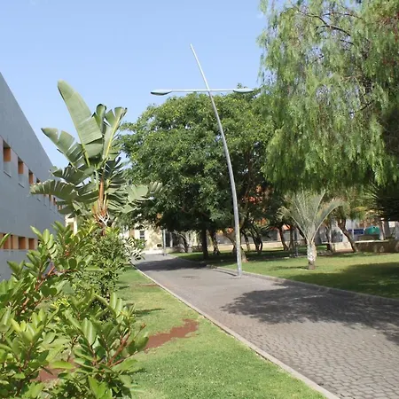 Comfortable Flat In Isabel Apartment Arona (Tenerife)